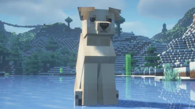Labrador
Labrador