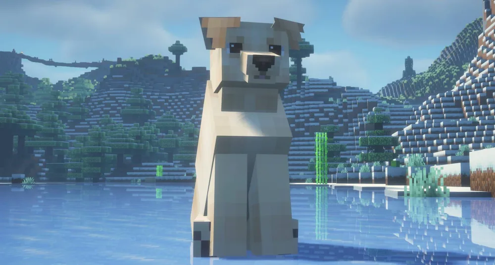 Labrador
Labrador