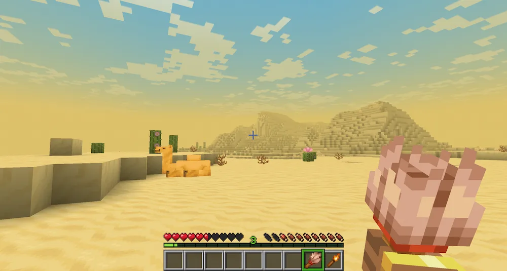 desierto