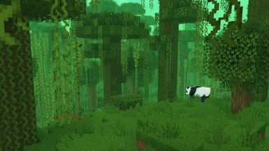 jungle