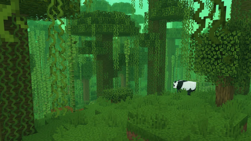 jungle