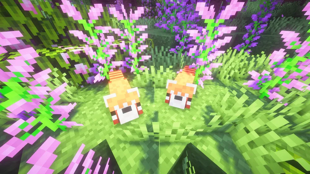 pandas rojos