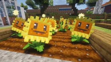girasoles