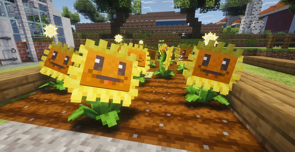 girasoles