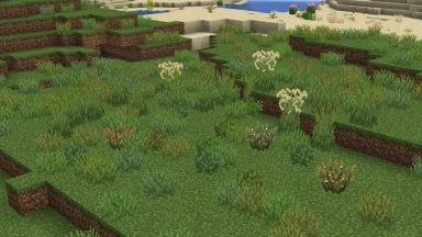 hierba en planicie