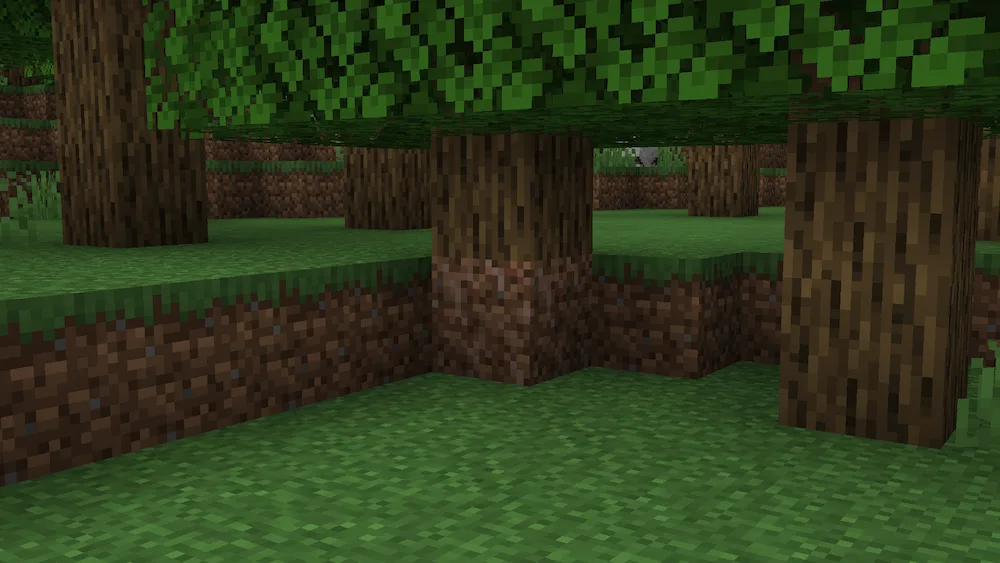 Raíz de un árbol