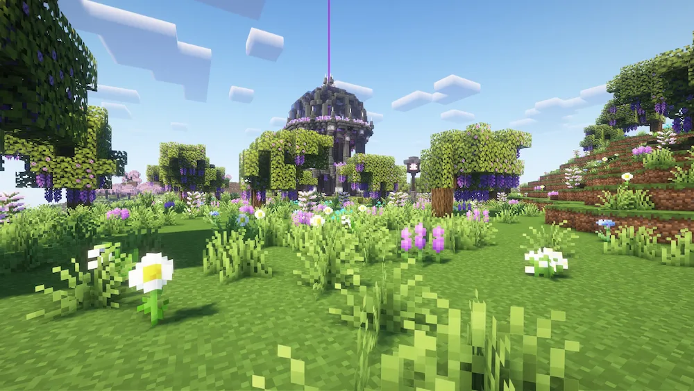flores