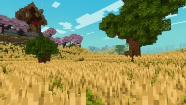 campos de trigo