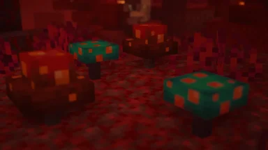 hongos 3d