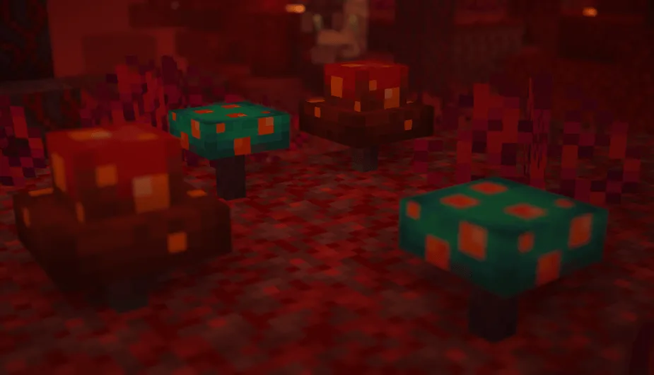 hongos 3d