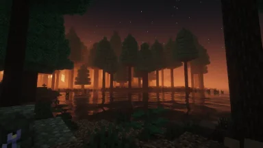 atardecer con reflejos del agua