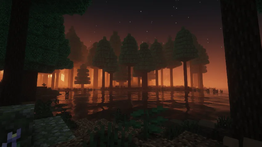 atardecer con reflejos del agua