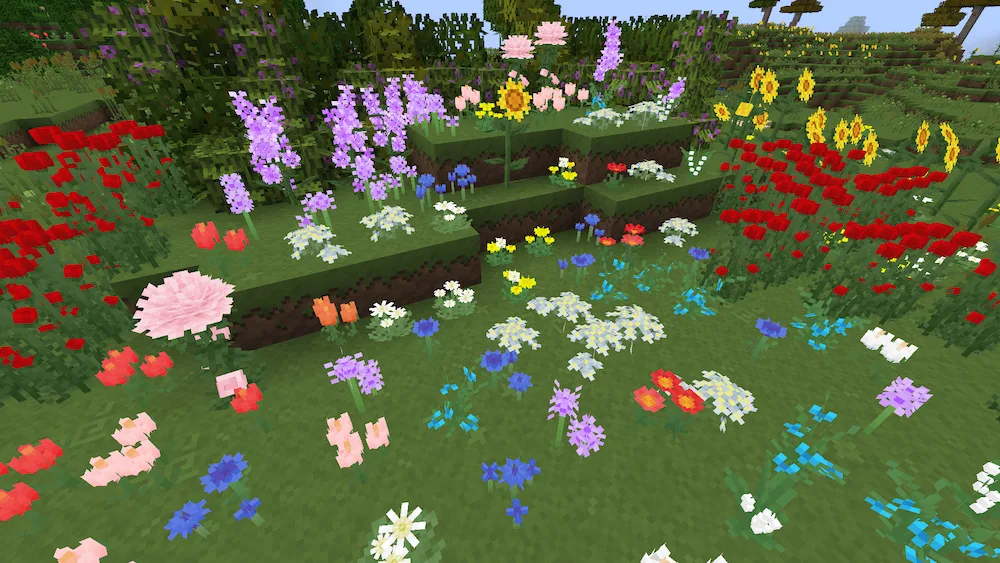 variedad de flores
