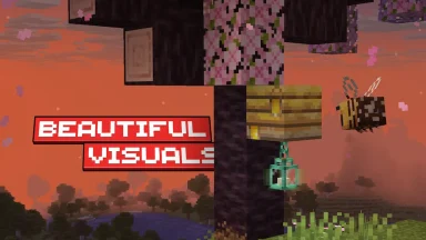 visuales