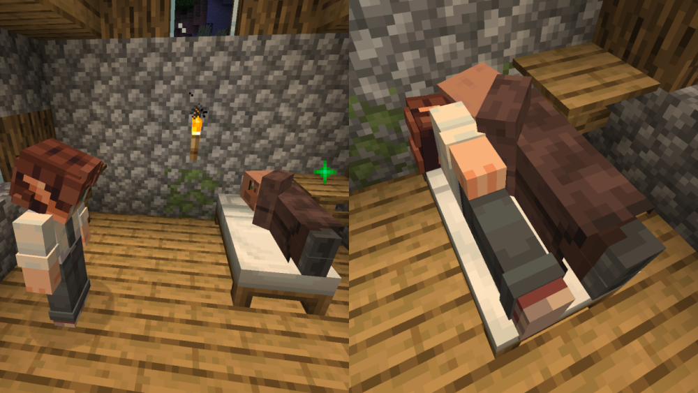 Vista previa de Room For Two Mod para Minecraft