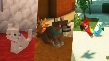 gato, lobo y pájaro