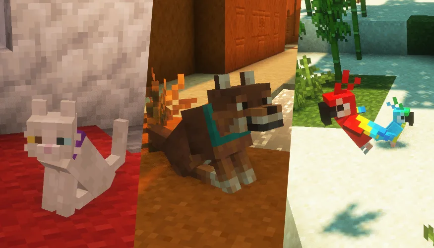 gato, lobo y pájaro
